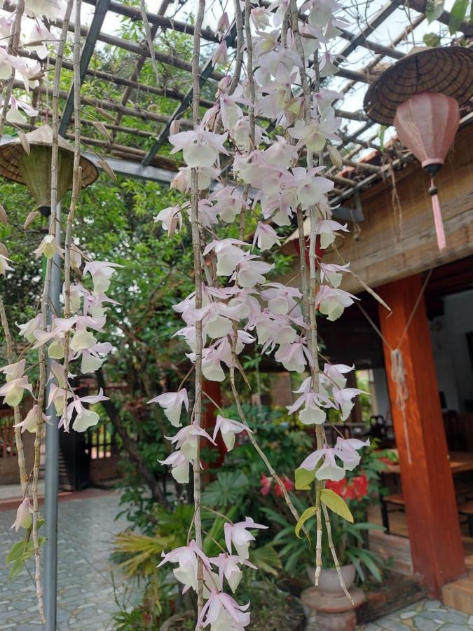 Trang An Family Homestay Ninh Bình Exteriör bild